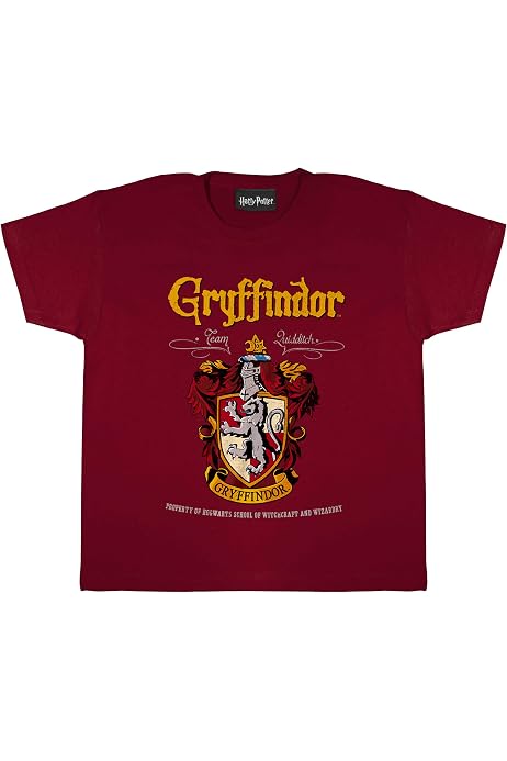 Harry Potter Slytherin Crest Boys T 