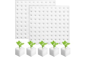 RJLLKD 200 Pièces Éponges de Semis Carrées 25 X 25 X 25mm, Éponge pour Outils Jardinage Cubes en Mousse Hydroponiques Jardinage Cube Éponges pour Bouturage la Culture et la Transplantation de Semis(Blanc)