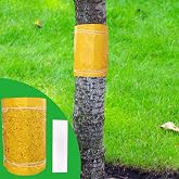 Panngu Rubber Ring Self Adhesive Fruit Tree 25 cm x 3 Metres Caterpillar Ant Plum Rubber Ring Fruit Tree Cherry