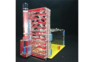 ANT GRAPE T Design fai da te con area di nidificazione per formiche, formicaio in acrilico, formiche di insetti, Pet Villa Mania per formiche da compagnia (red)