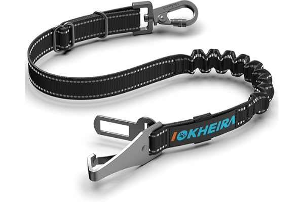 IOKHEIRA ceinture sécurité chien avec Système d'absorption d'énergie, harnais chien adaptée à la prise de siège de voiture, LATCH et ISOFIX