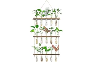 Grovind vase en verre à 3 niveaux Terrarium mural pour plantes avec support en bois, jardinière rétro en verre Tube à essai pour plantes hydroponiques Vases à fleurs Décoration maison, bureau et patio