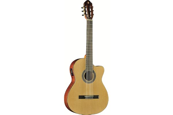 Eko Vibra 150 CW EQ