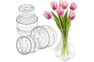 ZHITENG 4 Stück Blumenhalter für Vasen, Spiralstielhalter für Blumen Wiederverwendbare Transparenter Spiral Ikebana Stem Holder Ikebana Twister Blumenarrangement Halt DIY Blumengesteck (2 Größen)