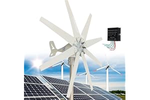 Fablestoryem GéNéRateur d'éOlienne, Kit de Petites Turbines éOliennes 14000W avec 8 Pales pour Marine, Camping-Car, Maison, GéNéRateur de Moulin à Vent pour SystèMe éOlien Solaire Hybride,220V