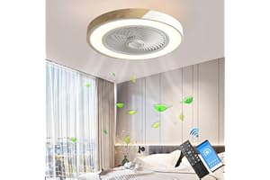 LANMOU Lampe de Plafond de Ventilateur avec Éclairage LED, 52cm Silencieux Ventilateur de Plafond avec Lampe et Télécommande/APP, Créative Lumière de Ventilateurs Moderne pour Chambre Salon, Blanc