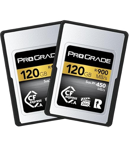 ProGrade Digital 160GB CFexpress Type A Memory Card,Silver - Buy