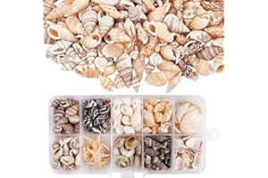 HIKPACKER 220 Conchas Marinas Naturales (10 Tipos) 90g Sin Agujeros Con Caja de Almacenamiento Incluida Estrellas de Mar Para Manualidades, Decoración de Bodas, Fiestas de Playa y Relleno de Floreros (Mezcla)