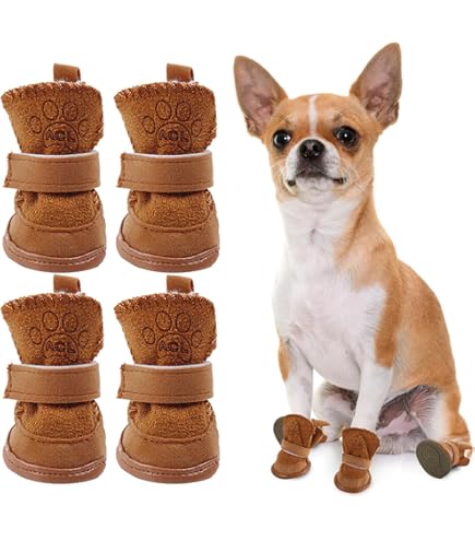 Scarpe Antiscivolo Scarpette Per Chihuahua Scarpe Antiscivolo