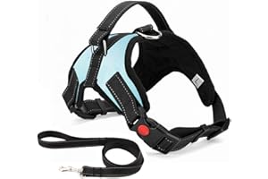Musonic Harnais pour Chien sans Traction, Confort Réglable et Respirable, Laisse Incluse, pour Petit Moyen et Grand Chiens, Idéal pour l'Entra?Nement et la Marche (S, Bleu Clair)