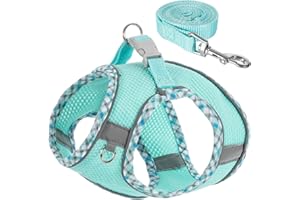 QYJINLIDA Dog Harness and Leash Set,Step-in Air Dog Vest, Reflective, No Pull Collarsfor Small, Medium Dogs, Cats - Secure with Hook & Loop Fastener, Buckle, Double D-Ring