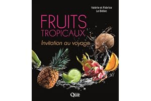 Fruits tropicaux: Invitation au voyage