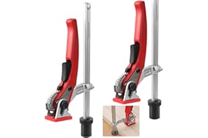 BIGP 2 Pièces Serre Joint à Levier, Élément de Serrage ø20 pour Tables Multifonctions, Presse à Serrage Rapide Réglables, Plage de Serrage 160, Profondeur de Gorge 60