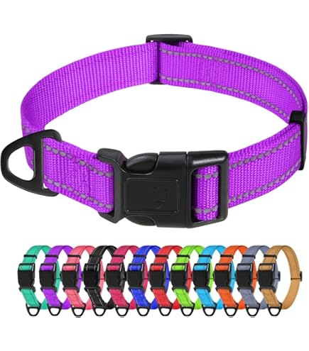 Buster Classic Transparente Halsbänder Für Hunde, 12,5 Cm, 10 Stück Im Set