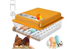 Chalixion Couveuse Oeuf Automatique pour 36 œufs, Incubateur Oeuf Retournement Automatique des œufs et Ajout d'eau, Contrôle de la Température, Modes d'incubation Automatiques, Mire Oeuf Integré