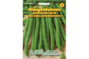 ‎CHRESTENSEN Stangenbohnen 'Quedlinburger Speck' mittelfrüh, grün, ohne Fäden
