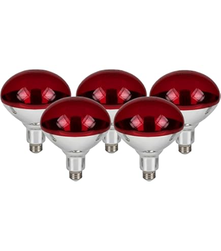 Lampade Infrarossi Riscaldanti Lampada Riscaldante Infrarossi 100W Per Rettili - 2 Pezzi, E27, Per Tartarughe, Lucertole Riscaldatore Lucertole