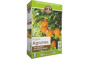 WOOTONG R'Garden | Engrais Organique Agrumes | Engrais Ecologique | Fertilisant Naturel | Nourrit en Profondeur | Facile d’Utilisation | 1KG