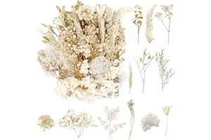 RUGBOL Dried Flowers, Pressed Flowers Dry Flowers Dried Flowers Crafts for DIY Arts Resin Scrapbooking Jewelry Making Floral Decorations（Pure White）