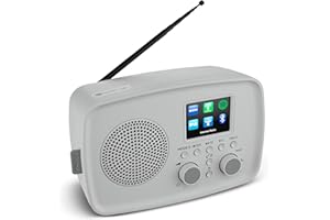 MEDION Radio por Internet con Dab+ IRE-1 (Dab+, Wi-Fi, FM, Bluetooth, protección contra Salpicaduras, Antena telescópica, Spotify Connect, Alarma, dimmer) Gris