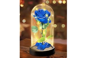 Touloube Navidad Regalos Rosa Eterna, Rosa Sant Jordi Roja con Base y Tarjeta de Felicitación, Regalo de Flor de Rosa con Luz LED en una Cúpula de Cristal Mujeres