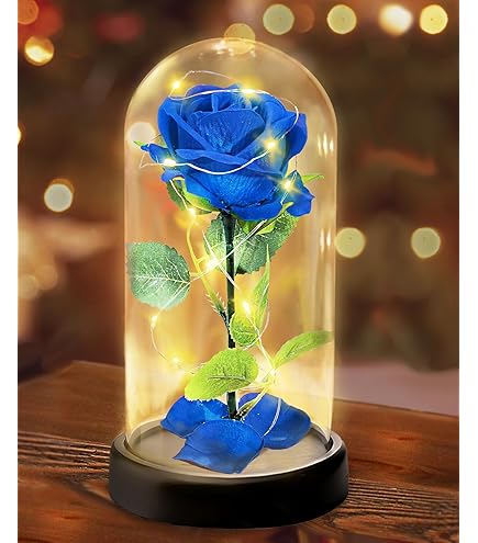 AMZJMT Eeuwige roos van glas met licht - Roos van glas, rode rooslamp in glazen koepel, Valentijnsdag, Moederdag, verjaardagscadeau, kerstcadeaus, romantisch liefdescadeau, cadeaus voor vrouwen