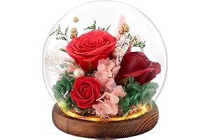 FAYODO Ewige Rose im Glas mit Licht, Konservierte Blumen als Geschenke für Frauen Mama Oma Freundin zum Valentinstag Muttertag Geburtstag Weihnachten Jahrestag Erntedankfest-Rot