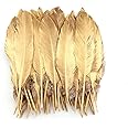 Sowder Natural Goose Feathers Clothing Accessories Pack of 50 (Gold)