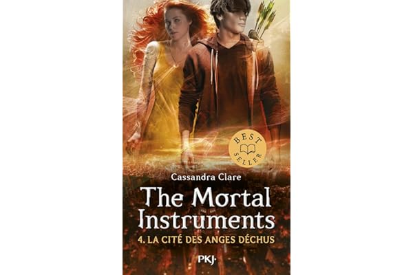 The Mortal instruments - tome 04 : La Cité des Anges Déchus