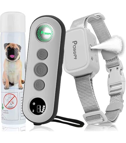 Hond Training Halsband Multifunctionele Hond Trainer Lange afstand, Oplaadbaar, Diepte waterbestendig