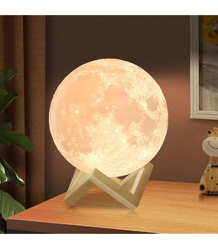 Haofy The Magical LED Houseplant, LED Houseplant Lamp Indoor Decor  Programmable Night Light Plastic Changeable Color Plant Decora : Amazon.de:  Beleuchtung
