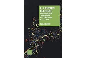 Il labirinto dei quanti. Richard Feynman, John Wheeler e la rivoluzione della fisica