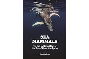 Sea Mammals: The Past and Present Lives of Our Oceans’ Cornerstone Species