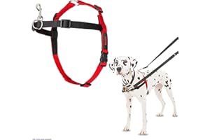 Harnais de contrôle HALTI, Taille M, Pour que votre chien arrête de tirer sur sa laisse, Design léger et les sangles rembourrées en neoprene, Harnais de anti-traction pour chiens de taille moyenne