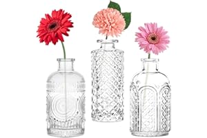 SUPROBARWARE Set di mini vasi, 3 pezzi piccoli vasi di vetro vintage decorativi, vasi per fiori per decorazioni da tavolo, centrotavola, decorazioni matrimoniali