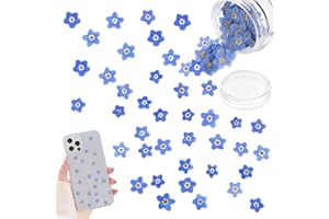 AZUSHWER 50 Pcs Natural Forget Me Not Dried Flowers Don't Forget Me Pressed Flowers Blue Dry Real Dried Pressed Flowers for Jewelry Candle Card Making DIY Resin Ornaments Nail Art Decorations (Blue)