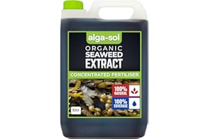MIFICA ALGA-SOL Cold Press Concentrate Seaweed Extract Ascophyllum Seaweed Extract 5Ltr Biostimulant Fertiliser Fertilizer Seaweed Plant Feed Organic Fertiliser Fertilizer