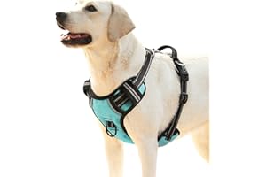 HEELE Pettorina Cane, No-Pull Imbracatura Traspirante e Riflettente, con 2 Ganci in Metallo + Comodo Maniglia, Pettorina Cane Taglia Grande Comodo per Camminare Jogging, Turchese, L