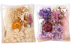 REBUCINA 2 Packs Dried Flowers for Crafts, Dried Flowers Bouquet, Dry Flowers, Dried Flowers for Candle Making, for Crafts Candles Soap Making, Resin, Jewelry, Scrapbooking, Card Making, Purple, White