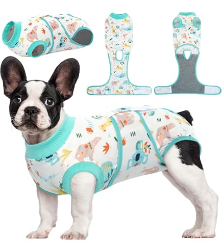 Body Post-op Pour Chien - Après Stérilisation - Fermeture éclair - Alternative à La Collerette - Coton
