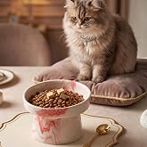 Seramik Mama Kabı - Kedi ve K&ouml;pekler i&ccedil;in Sağlıklı Mama Kasesi - Ayaklı,Y&uuml;kseltilmiş, Kaymaz Mama Kabı (Kırmızı)