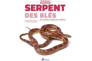 Serpent des blés & autres serpents ratiers