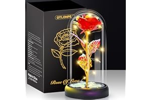 ‎OTLONPE Otlonpe Flower Gifts for Women, Mother's Day Gifts for Mum, Birthday Gift for Women, Mum, Girlfriend, Grandma, Eternal Rose in Glass with LED Light, Mother's Day Gift for Mum, Grandma (Red)