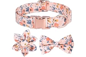 NICOLA Obroża dla psa, regulowane obroże dla psów z metalową klamrą szybkiego zwalniania, krawat stokrotka i muszka, obroże dla psów (pomarańczowa)