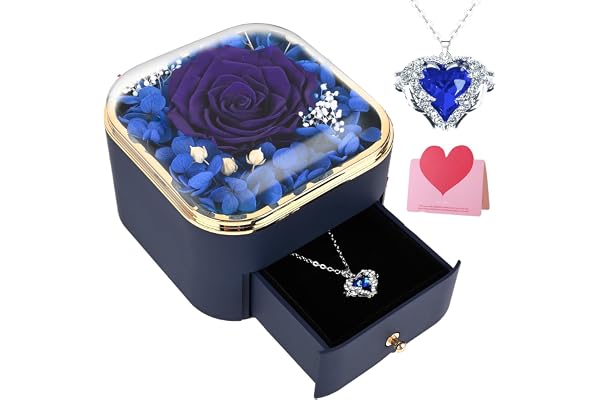 Gaethra Evig ros med kedja, evighetsrosgåvor till flickvän, mamma, mormor, äkta konserverade blommor, presentförpackning för alla hjärtans dag, bröllopsjubileum