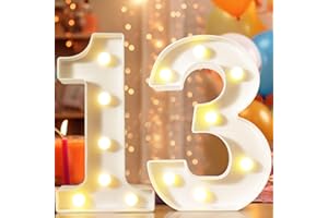 VIMLITS 8.8" Decorative LED Light Up Numbers, Marquee Numbers Lights for 13th Birthday Decorations, Lighted Number Sign for Birthday Party Night Lights Anniversary Backdrop Home Decor, White Number 13