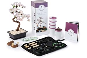 WAM BAM BOO Bonsai Tree Kit with Bonsai Tool Kit - Grow Your own Kits Bonsai Tree Indoor Plant with a Variety of 5 Bonsai Trees Seeds Included and All of The Bonsai Kit Tools You Need (Large Bonsai Kit)