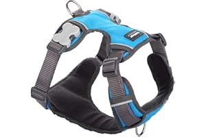 Harnais pour Chien Red Dingo Rembourré Turquoise Taille L