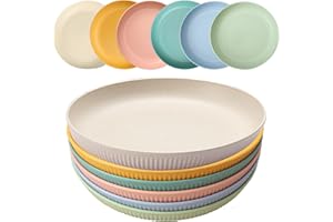 CEVILLAE Plastikteller 6er 23cm Camping Teller Groß Speiseteller Mehrweg Kunststoffteller Spülmaschinenfest Picknick Geschirr Tief Unzerbrechliche für Salat/Kuchen/Dinner