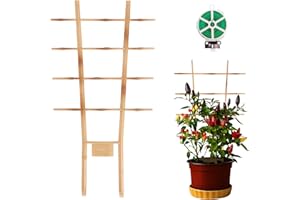 GARTOL Garten Pflanzenstütze Rankhilfen für Kletterpflanzen Tomatenrankhilfe 3 Stück 50cm Pflanzstütze Bambus Rosen Blumenspalier